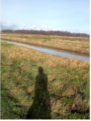 Lopen door de polder